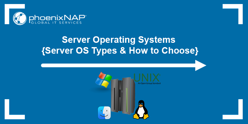 Establishing A Dedicated Server For High-traffic Websites